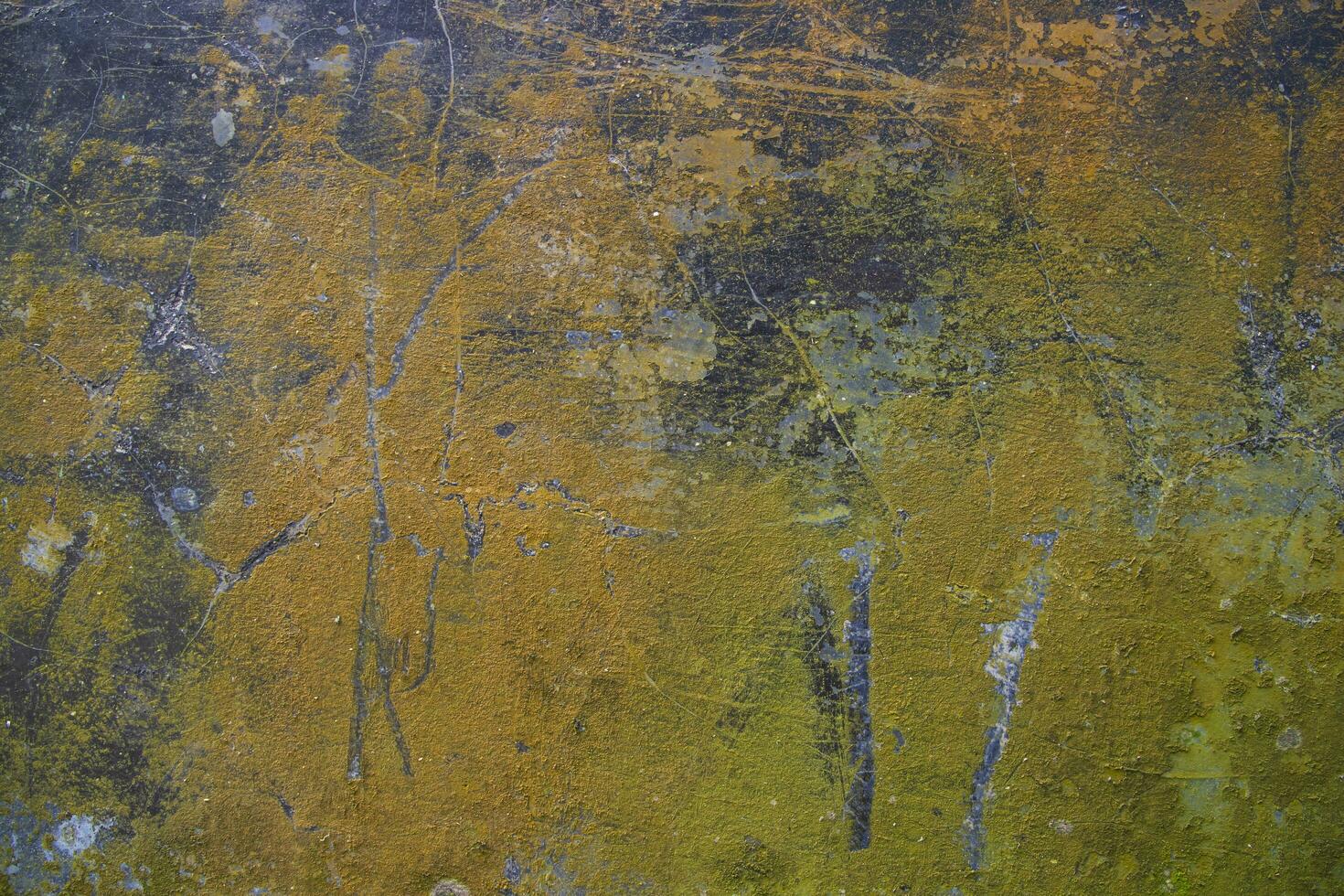 Fungi Green Moss Texture abstract background concrete wall. Rusty, Grungy, Gritty Vintage Background photo