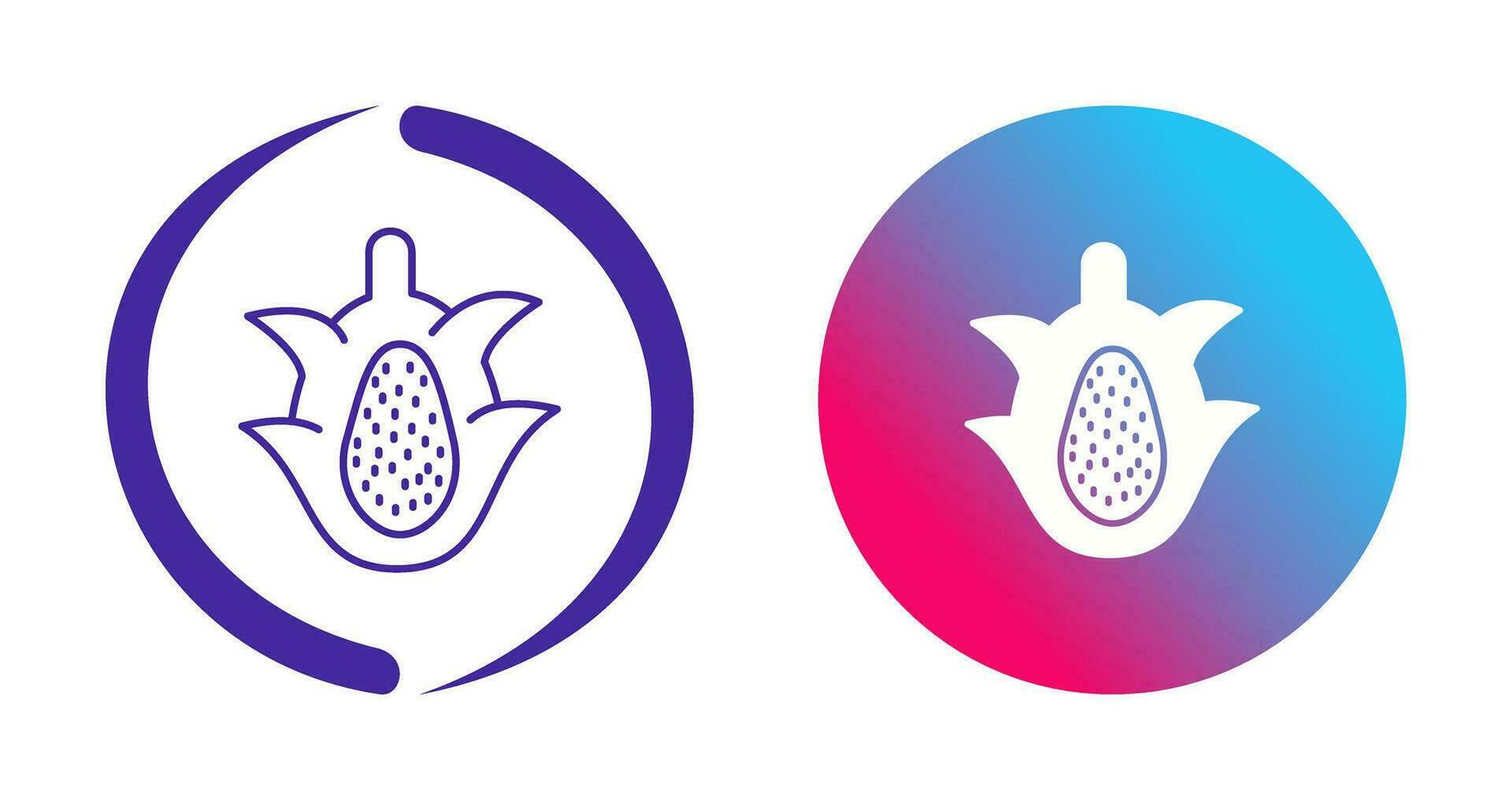 Dragon Fruit Vector Icon