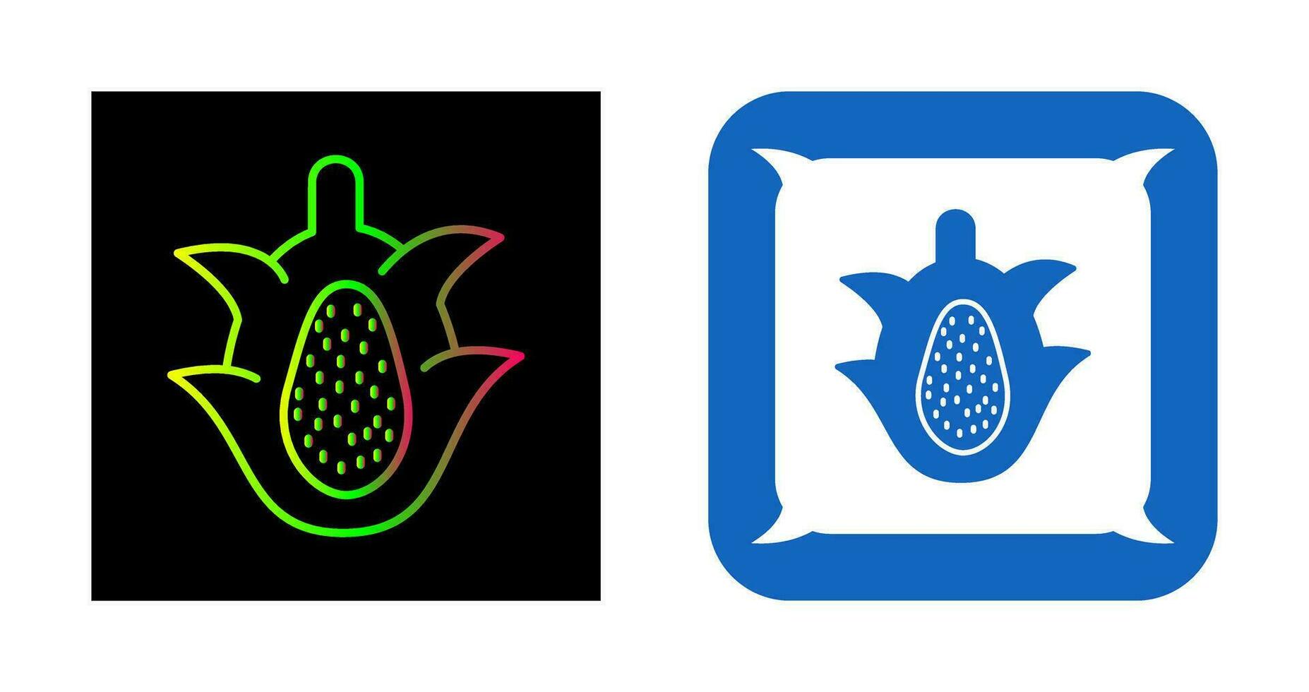 Dragon Fruit Vector Icon