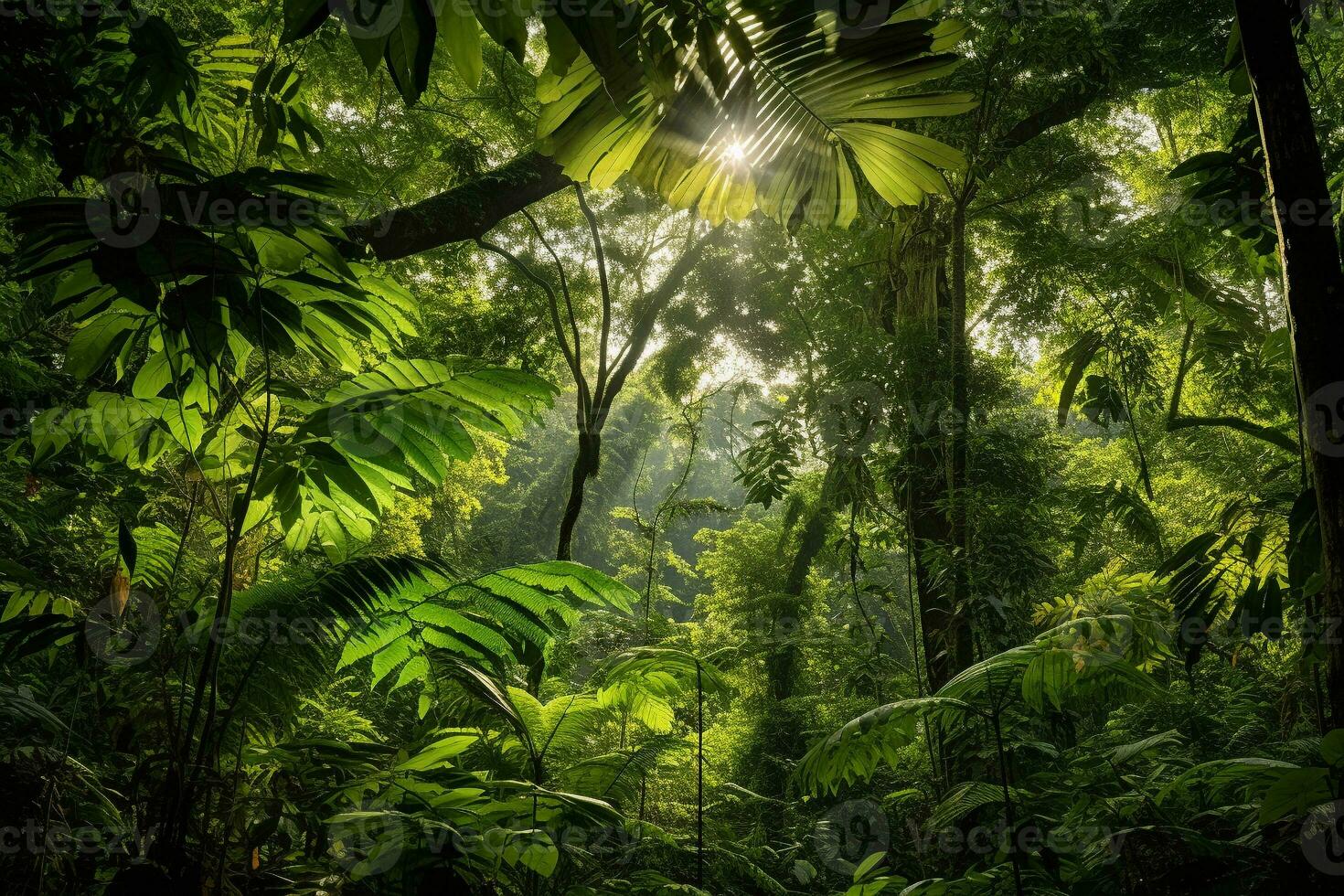 Lush tropical green forest with diverse flora. Tall majestic trees and small bushes and ferns. The sun's rays break through the dense crown of trees. Ai generative photo