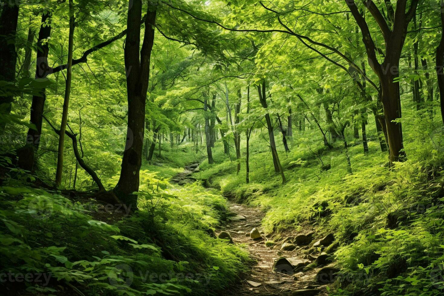 Lush green forest with diverse flora. Tall majestic trees and small bushes and ferns. The sun's rays break through the dense crown of trees. Ai generative photo