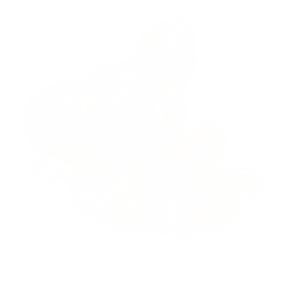 White Ink Shape png