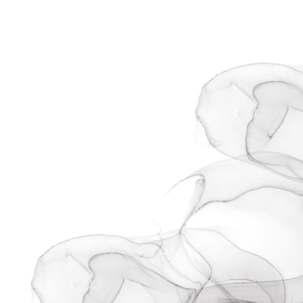 Black Ink Border png