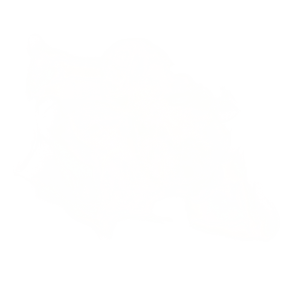 White Alcohol Ink Shape png