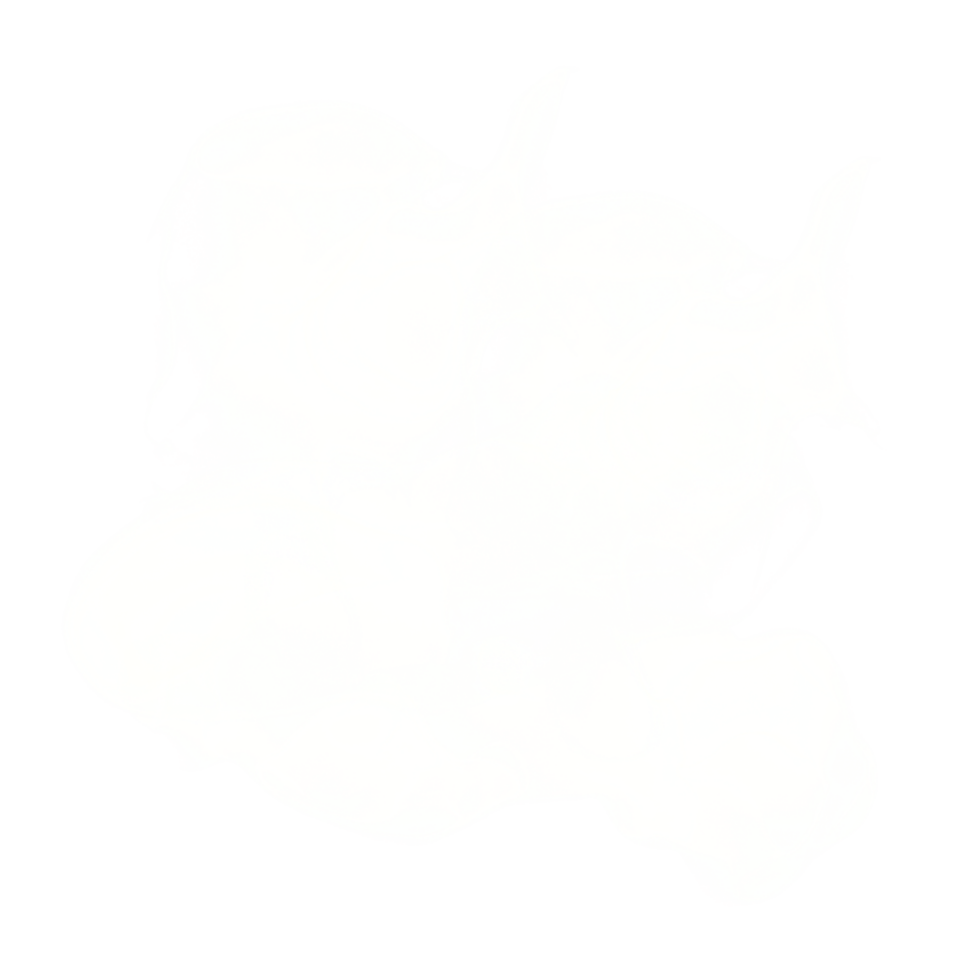 White Ink Shape png