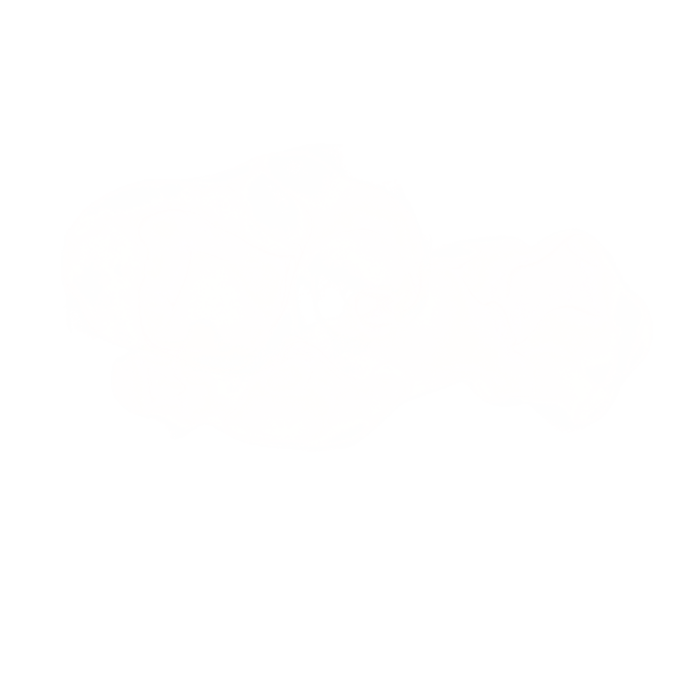 White Ink Shape png