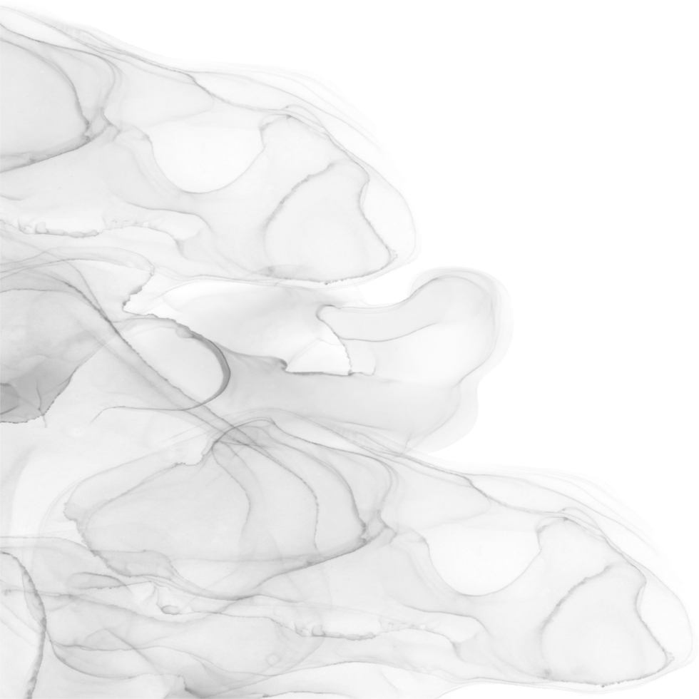 Black Ink Border 34000299 PNG