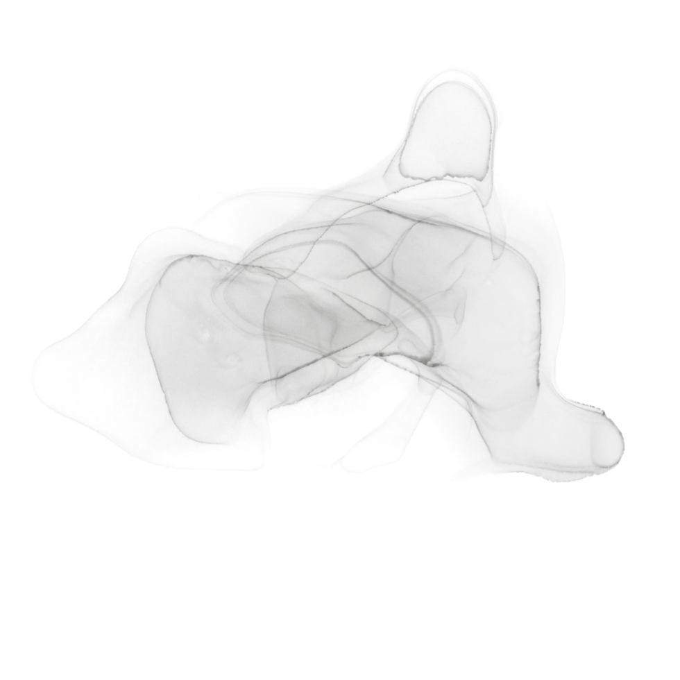 Black Alcohol Ink Shape png