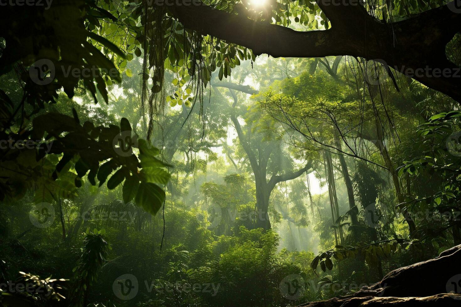 Lush tropical green forest with diverse flora. Tall majestic trees and small bushes and ferns. The sun's rays break through the dense crown of trees. Ai generative photo