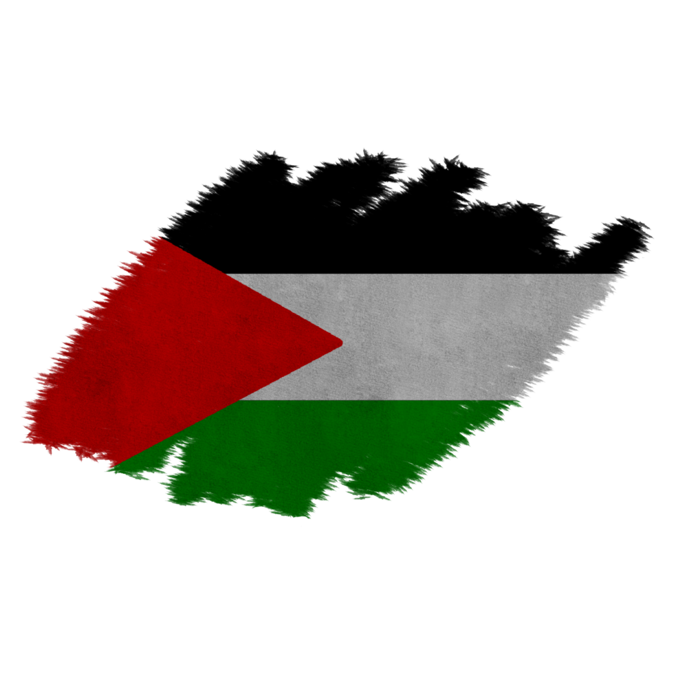 Palestine Brush Flag png