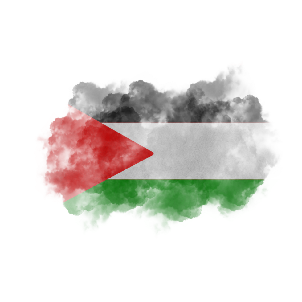drapeau brosse palestine png