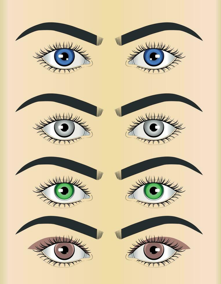 Beautiful Makeup Eyes  illustration art vector