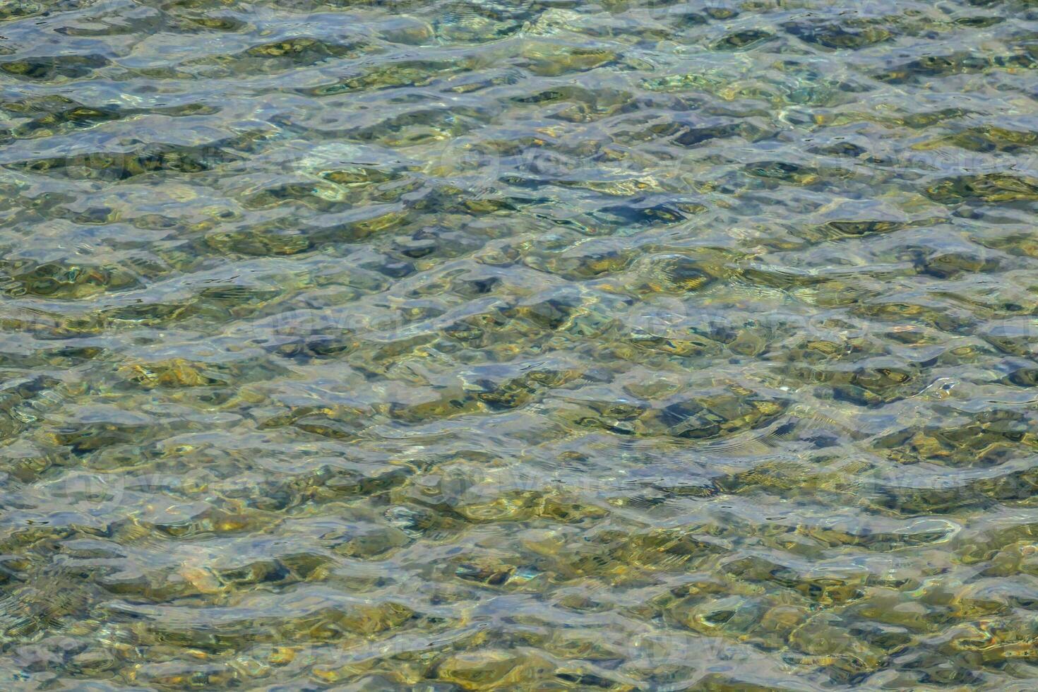 the water is clear and has rocks on the bottom photo