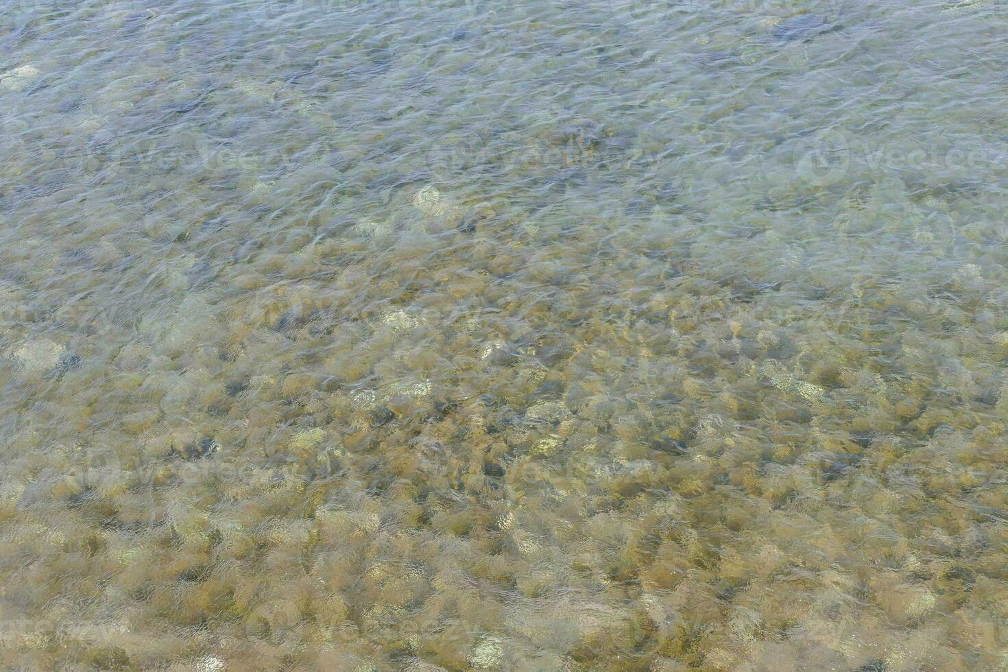 agua ondas en el superficie foto