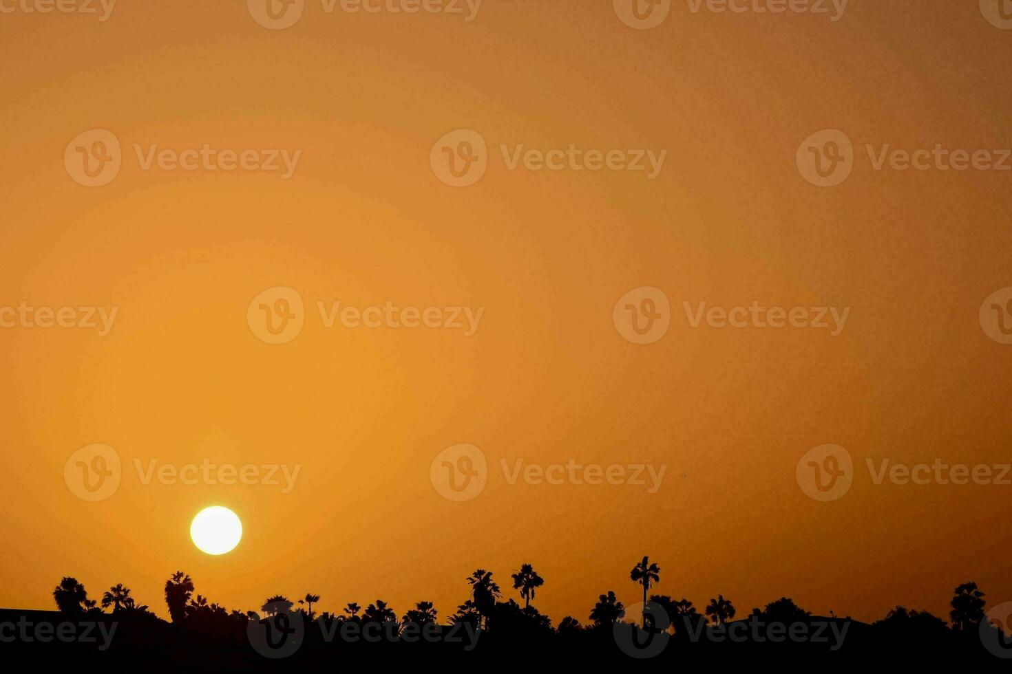 Sunset over the trees photo
