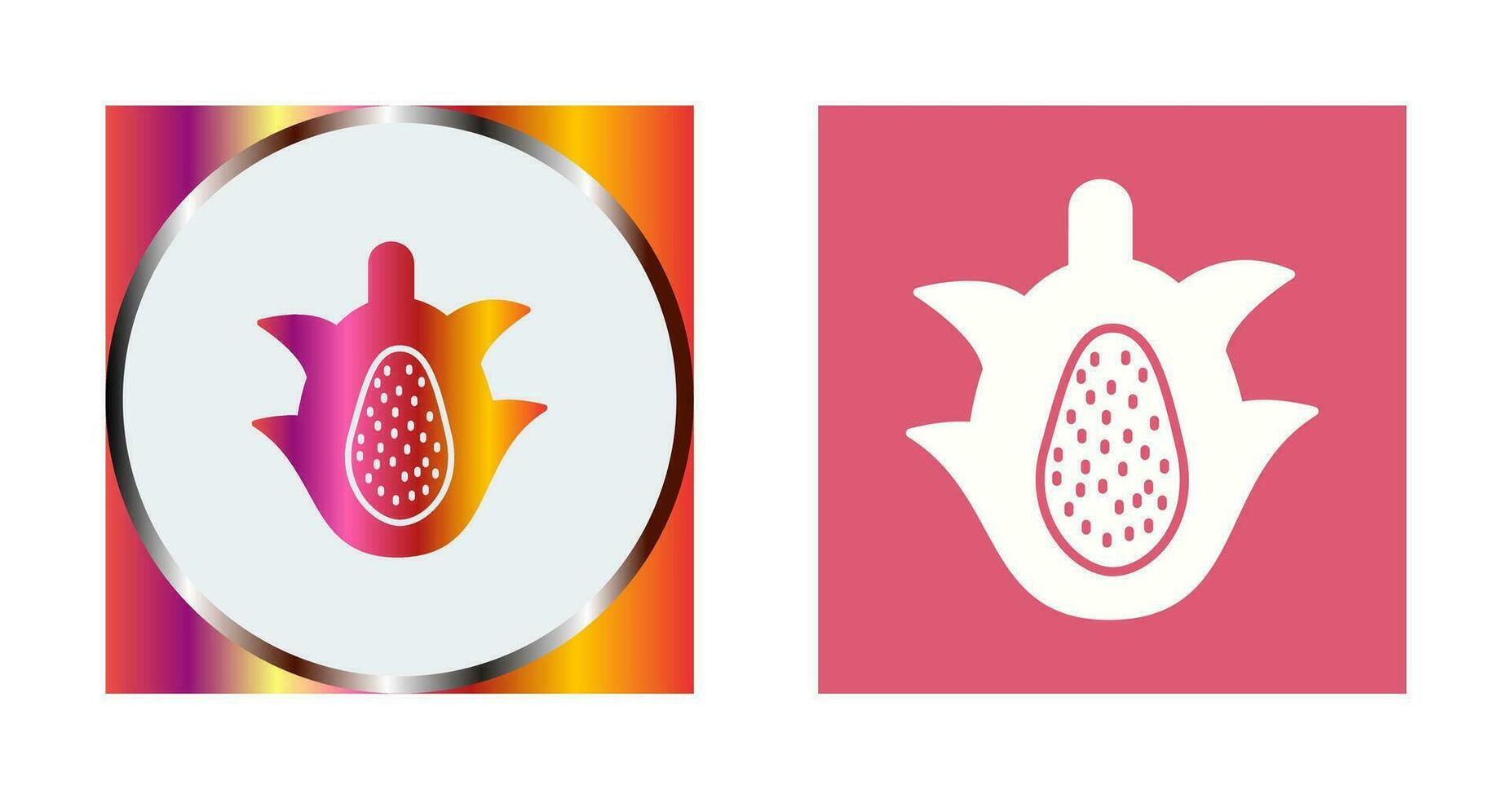 Dragon Fruit Vector Icon