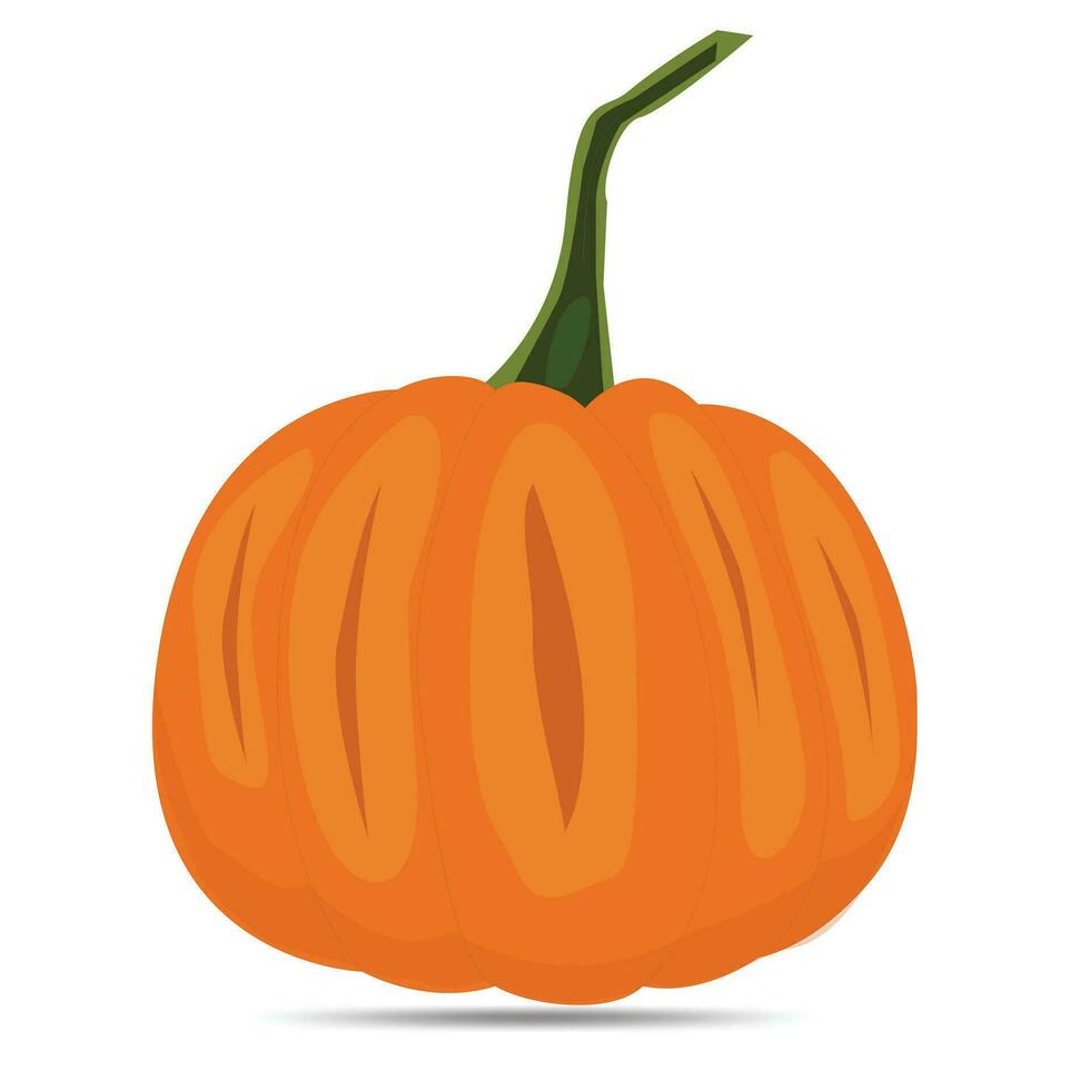 pumpkin vector design art illustration