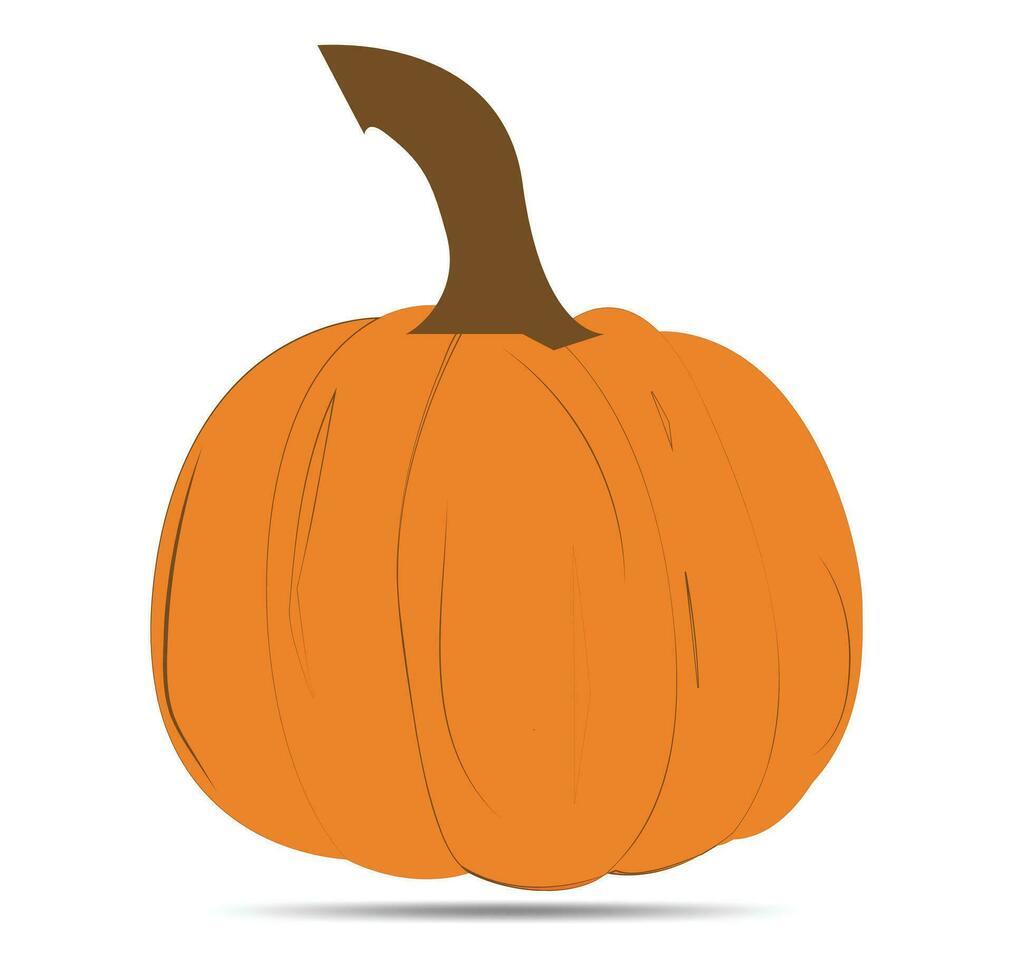 calabaza vector diseño Arte ilustración