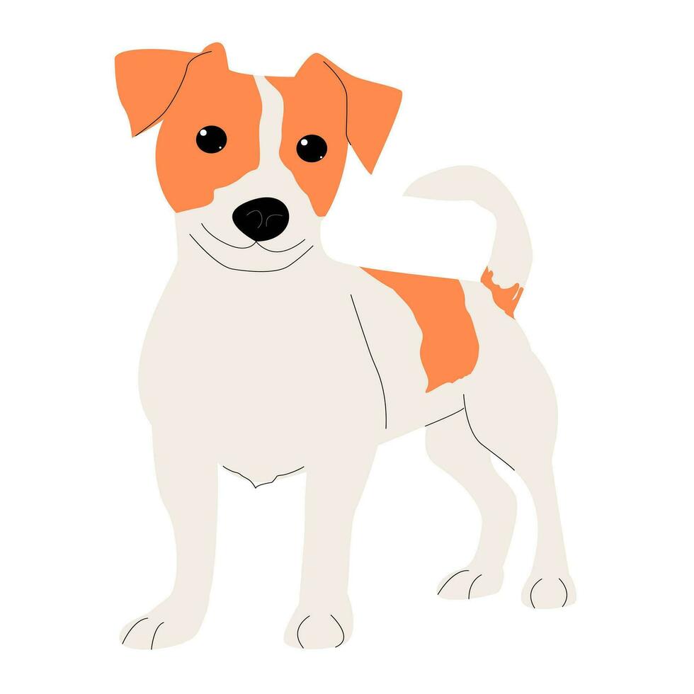 Jack Russell terrier aislado en blanco antecedentes. vector ilustración de un perro.