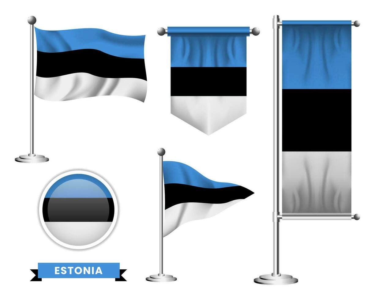 vector set of the national flag of estonia in various creative designs