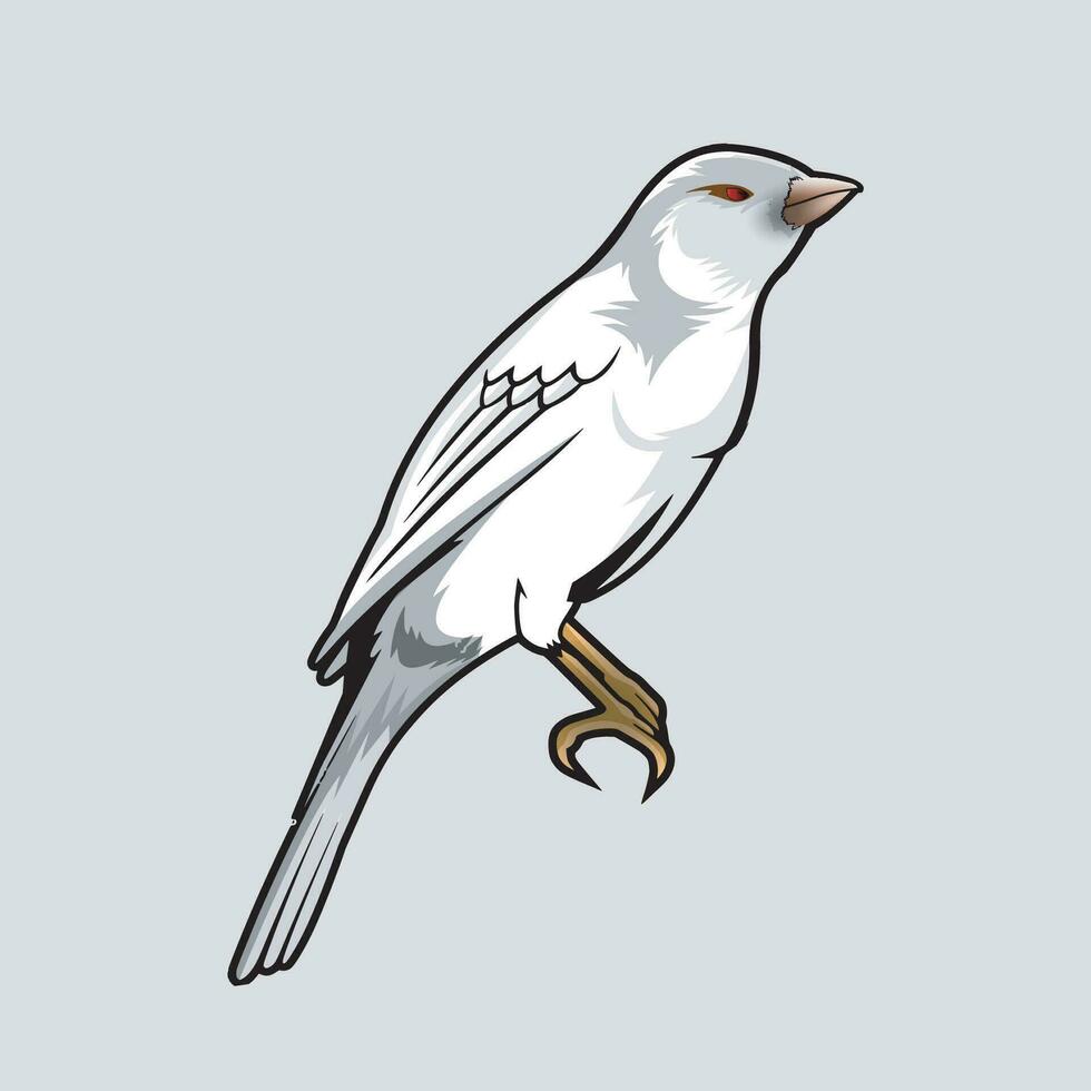 blanco canario pájaro vector