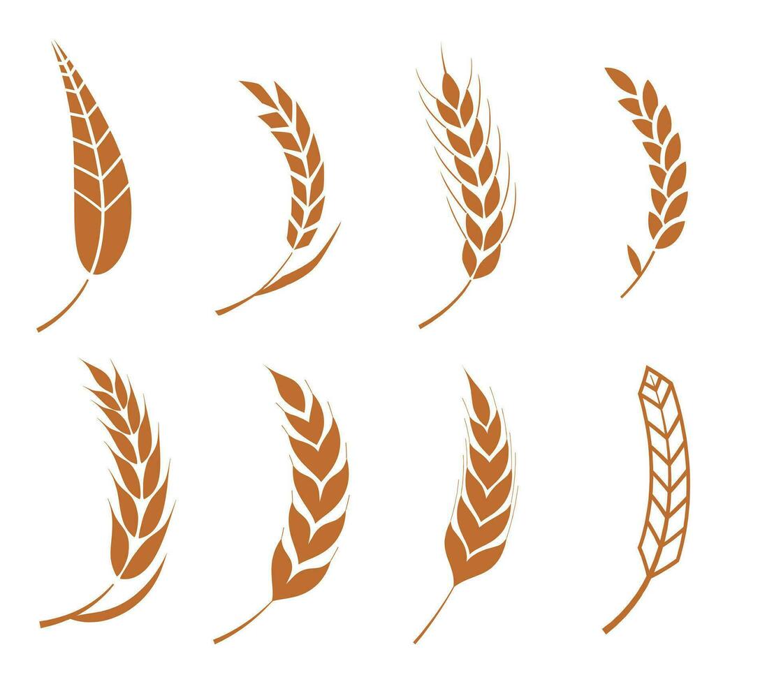 gráfico siluetas de grano orejas vector