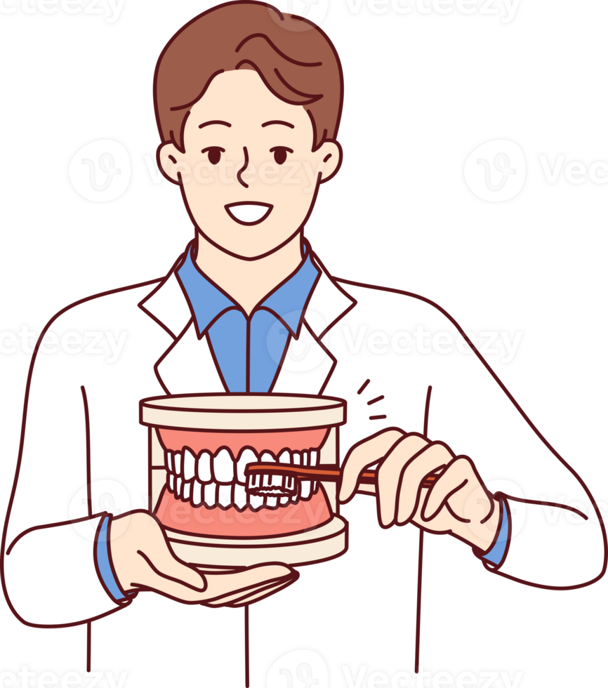 Man dentist explaining rules of brushing teeth, holding toothbrush and giant jaw in hands png