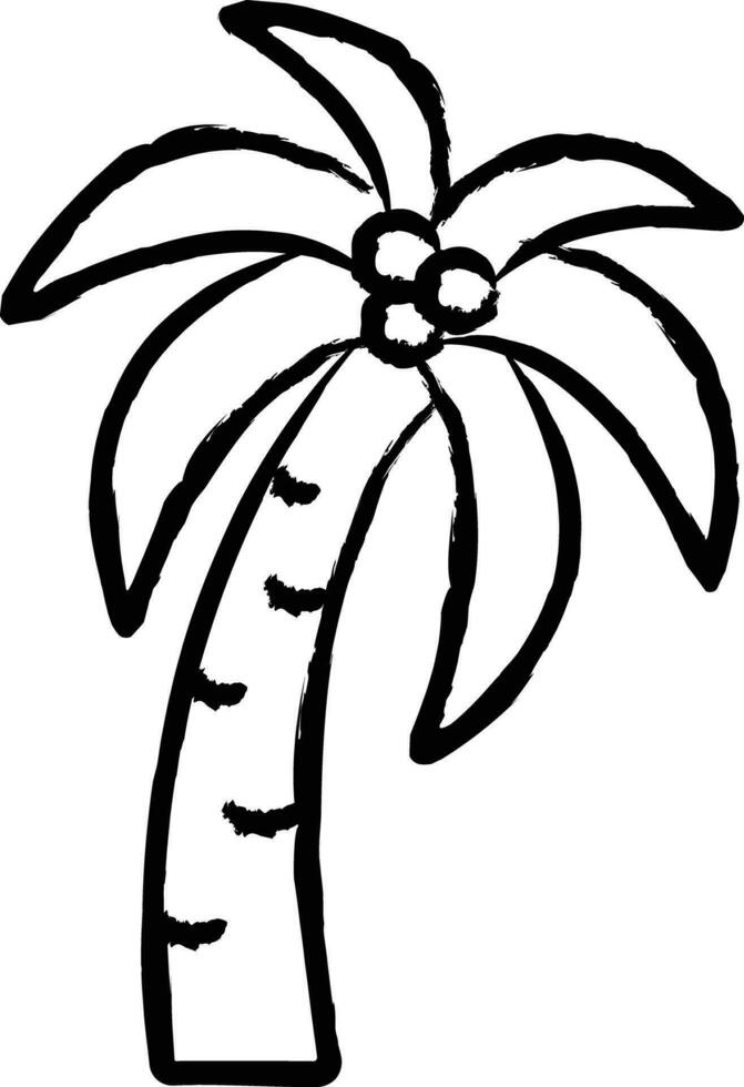 Palm tree hand drawn vector illustration