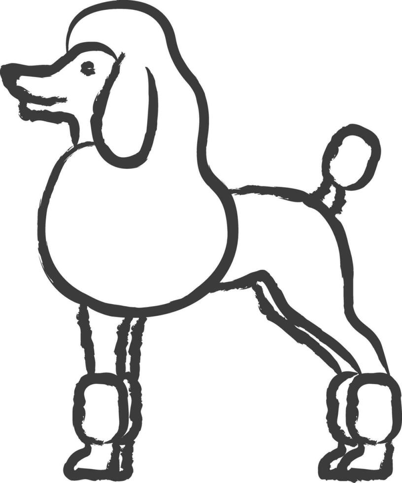 Poodle dog hand drawn vector illustration