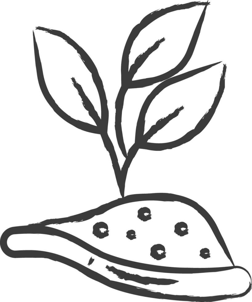 Plant hand drawn vector illustration