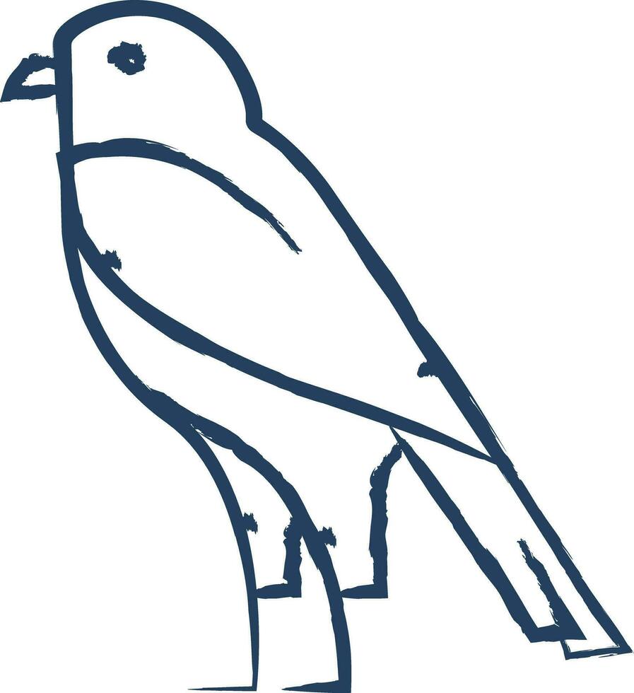 Eagle hand drawn vector illustration