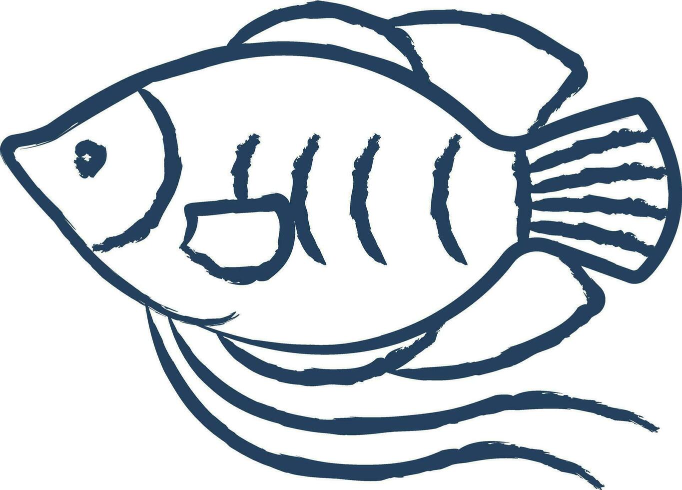 Dwarf gourami Fish hand drawn vector illustration