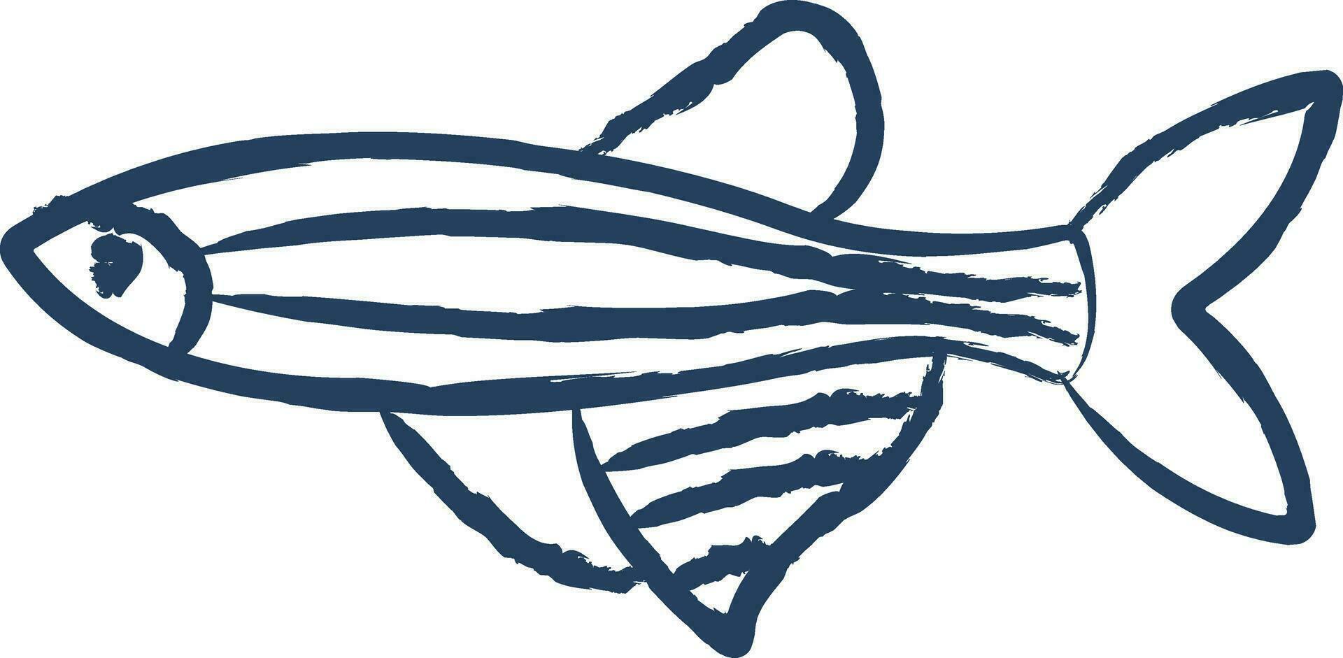 Zebrafish hand drawn vector illustration