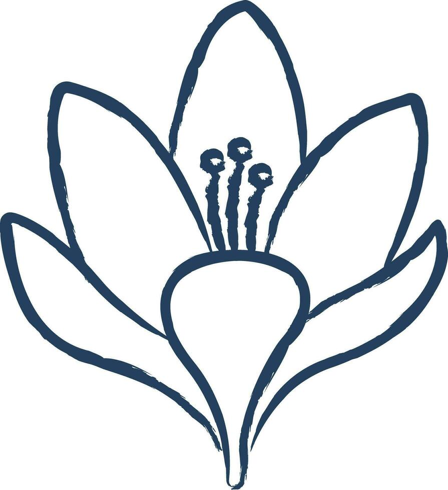 Crocus flower hand drawn vector illustration