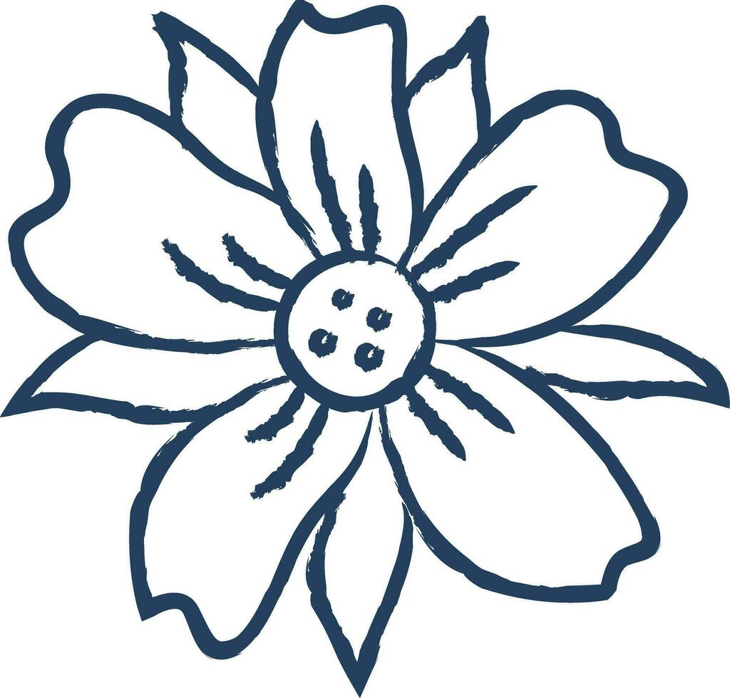 Poppy flower hand drawn vector illustration