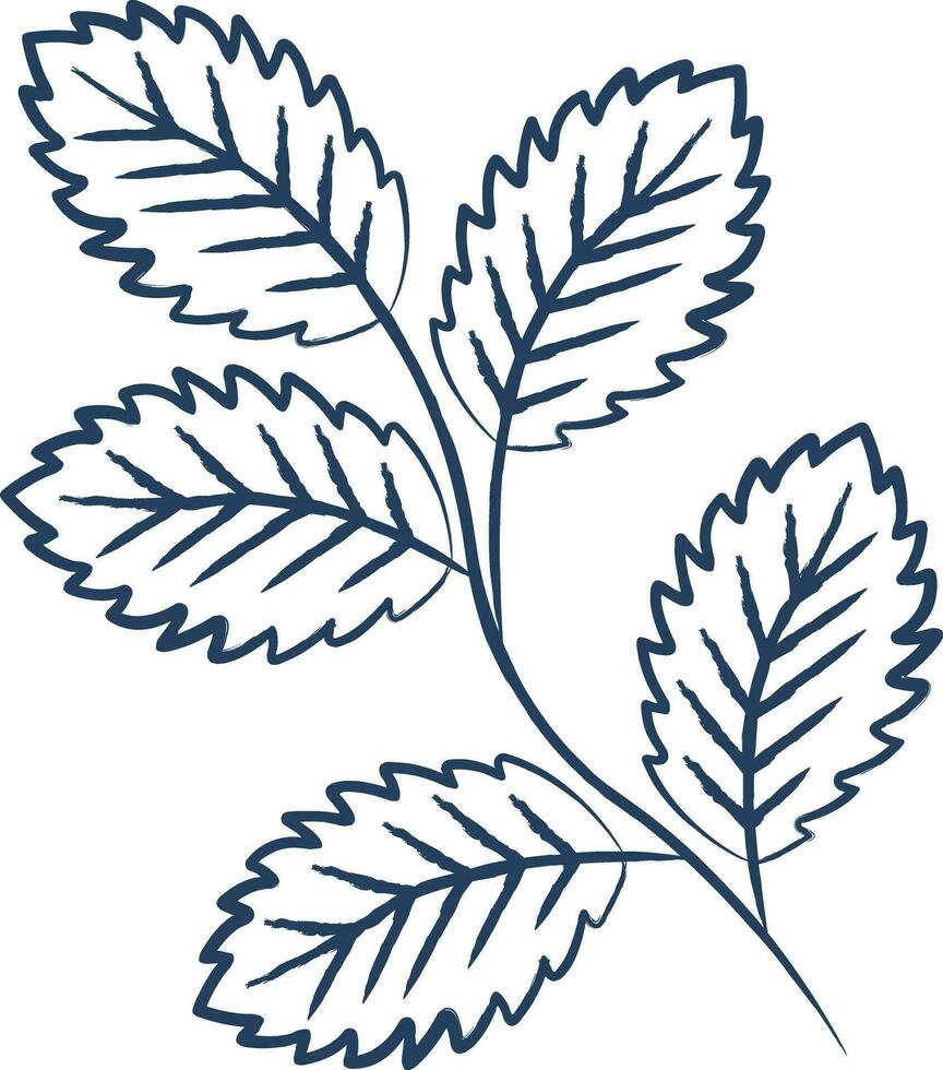 Mint leaf hand drawn vector illustration