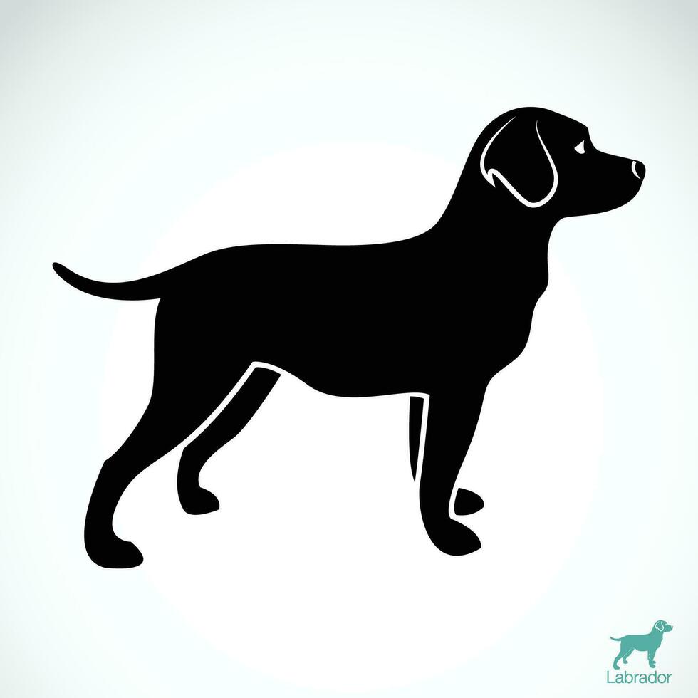 vector de un perro Labrador en blanco antecedentes. mascota. animal.