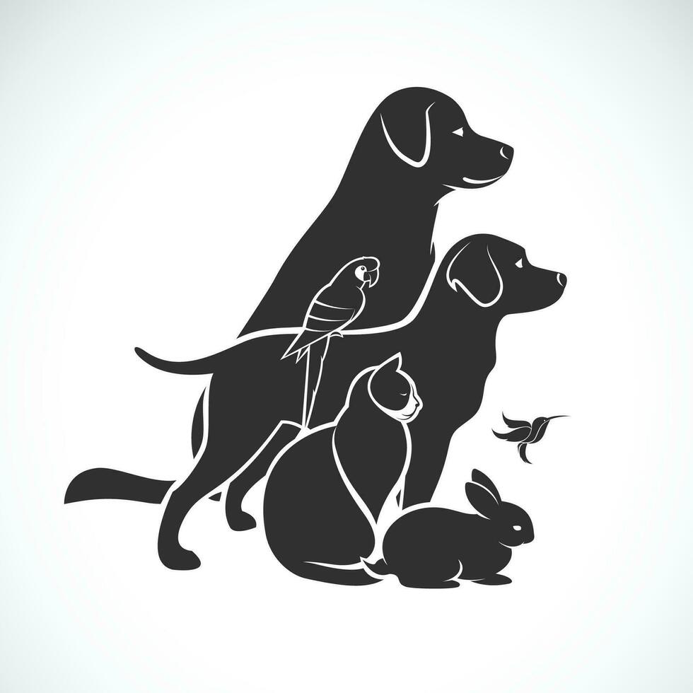 Vector group of pets - Dog, Cat, Humming bird, Parrot, Rabbit isolated on white background. Pet Icon or logo, Easy editable layered vector illustration.