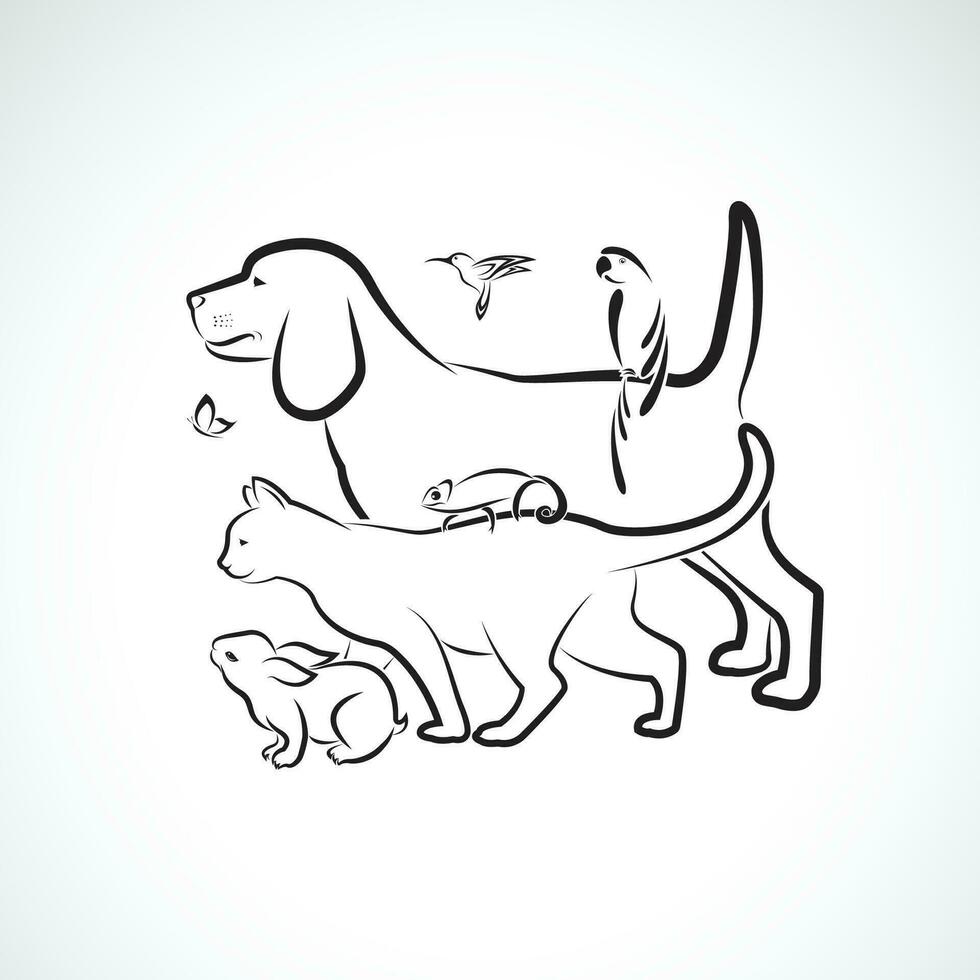 Vector group of pets - Dog, Cat, Parrot, Rabbit, Butterfly, Hummingbird,  Chameleon, isolated on white background. Pet. Animals. Easy editable layered vector illustration. Pet group.