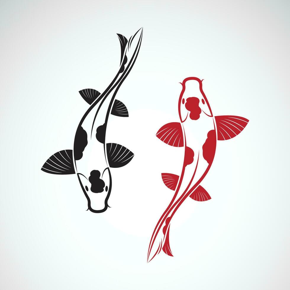 Vector of carp koi fish isolated on white background. Pet Animal. Fish icon. Easy editable layered vector illustration.