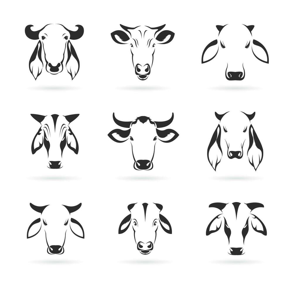 Vector set of cow head on white background