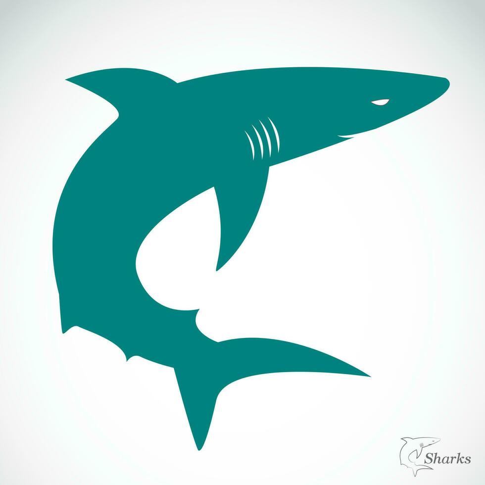 Vector of shark design on white background. Easy editable layered vector illustration. Wild Animals. Undersea animals.