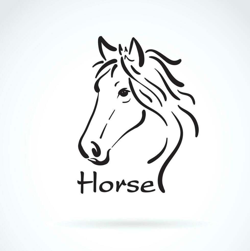 vector de a mano caballo cabeza pintura en blanco antecedentes. salvaje animales fácil editable en capas vector ilustración.