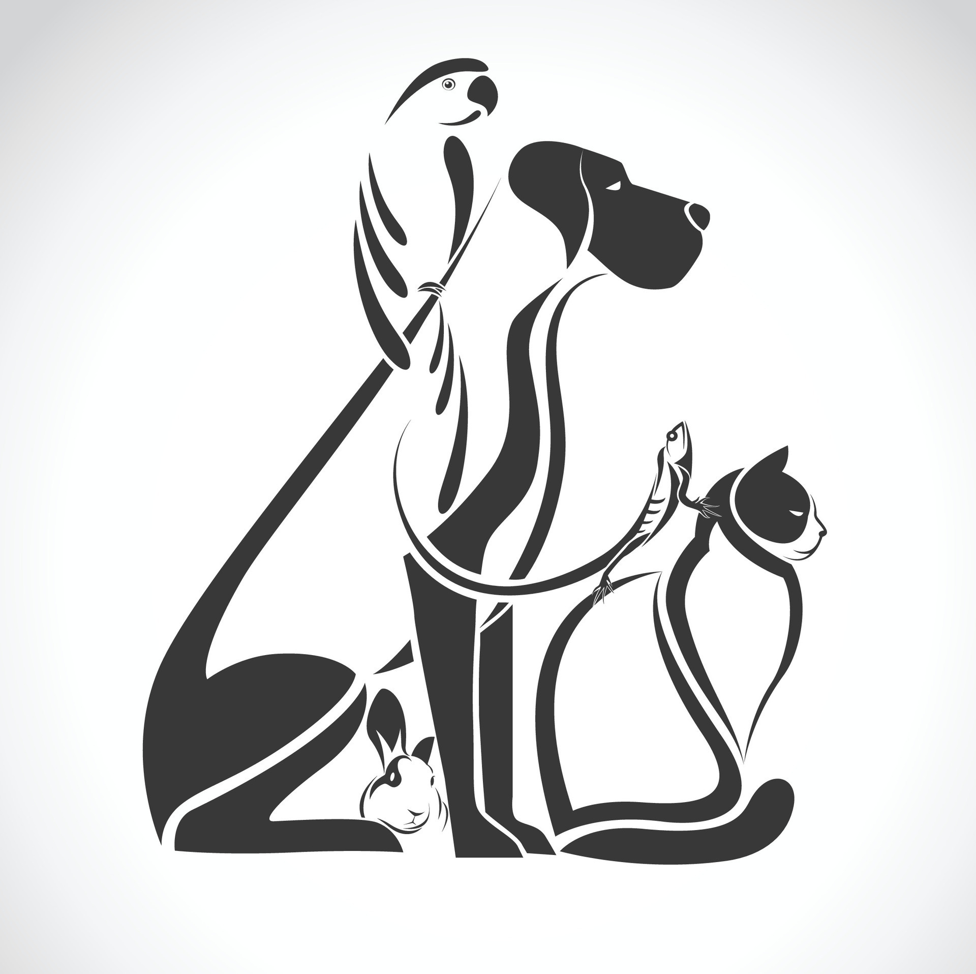 Vector group of pets - Dog, cat, bird, reptile, rabbit, isolated