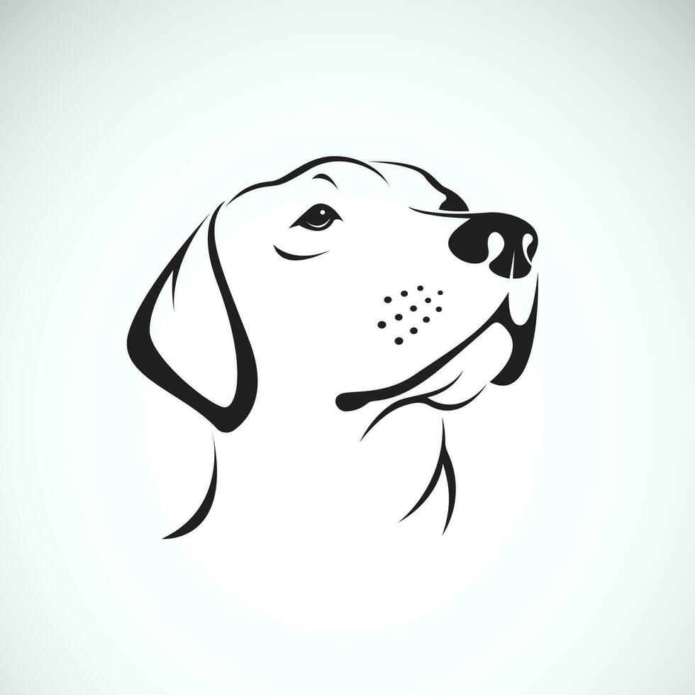 Vector of a dog head Labrador Retriever on white background, Pet. Animals.