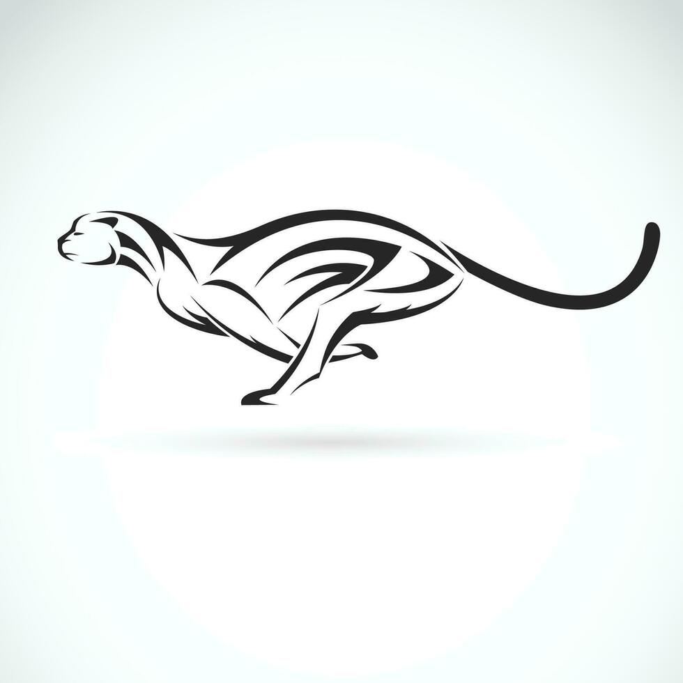 Vector of cheetah is running on white background. Wildlife animals. Easy editable layered vector illustration.