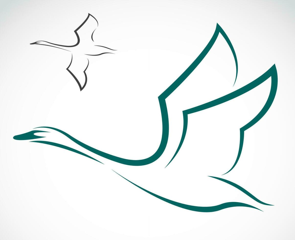 Vector of swans flying on white background. Wildlife Animals. Easy editable layered vector illustration.