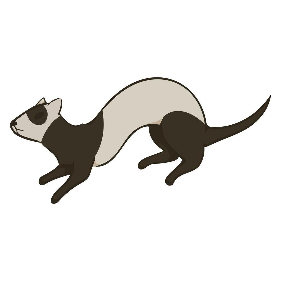 Cute vector ferret. Illustration isolated on white background. Design element for office menu design brochure posters. Simple image