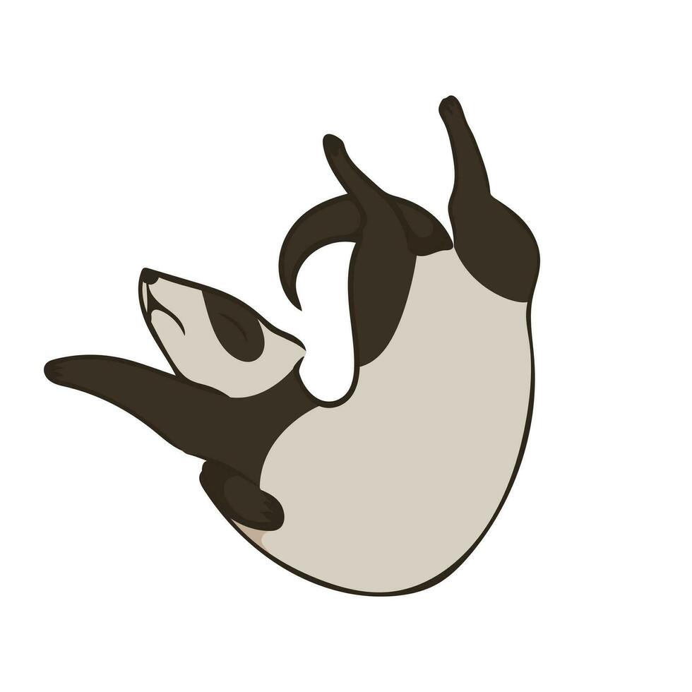 Vector illustration of cute ferret. Sleeping animal. Image isolated on white background. Simple design element. Design of posters menus childrens products websites