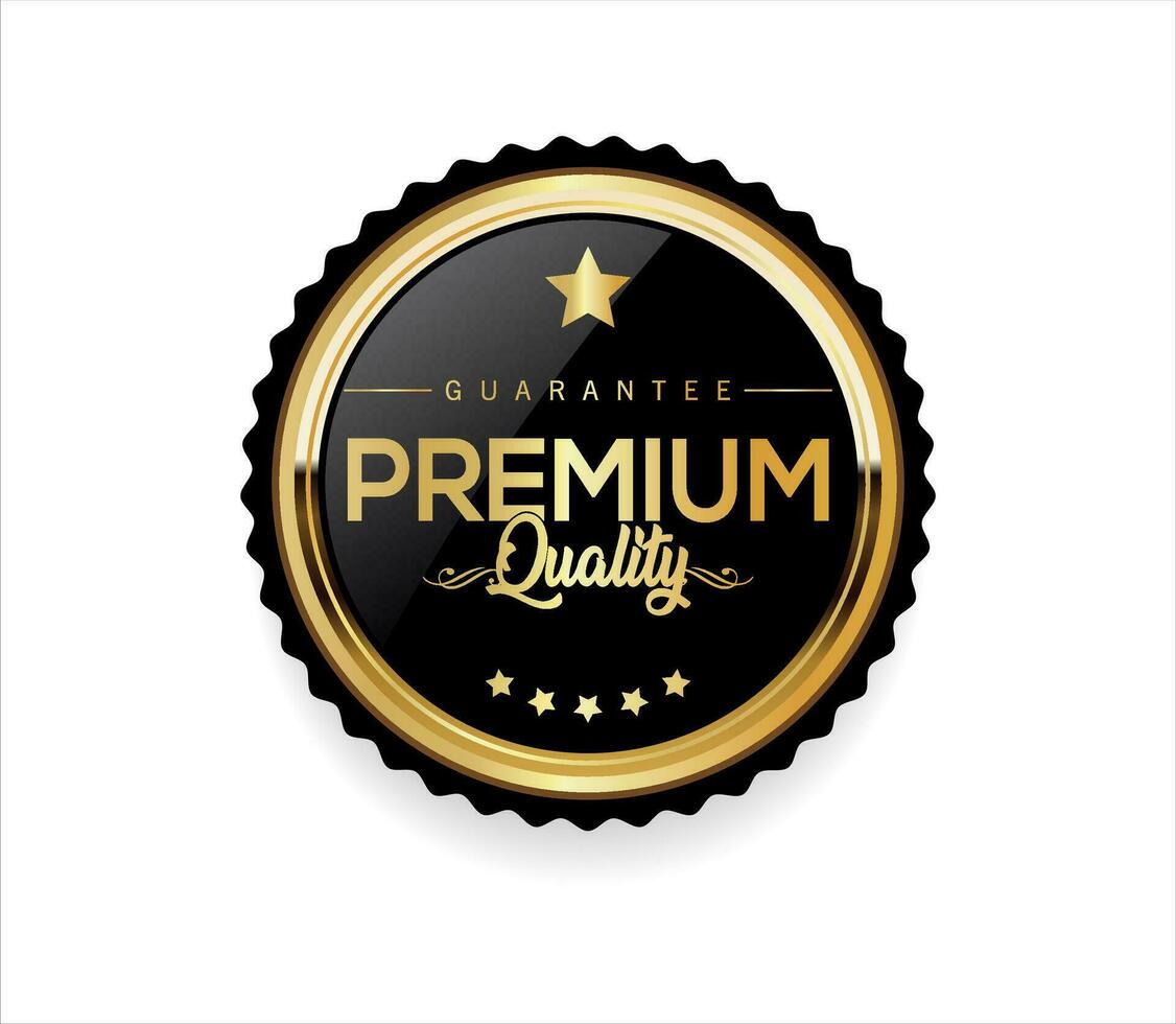 Premium quality  retro design badge vector collection